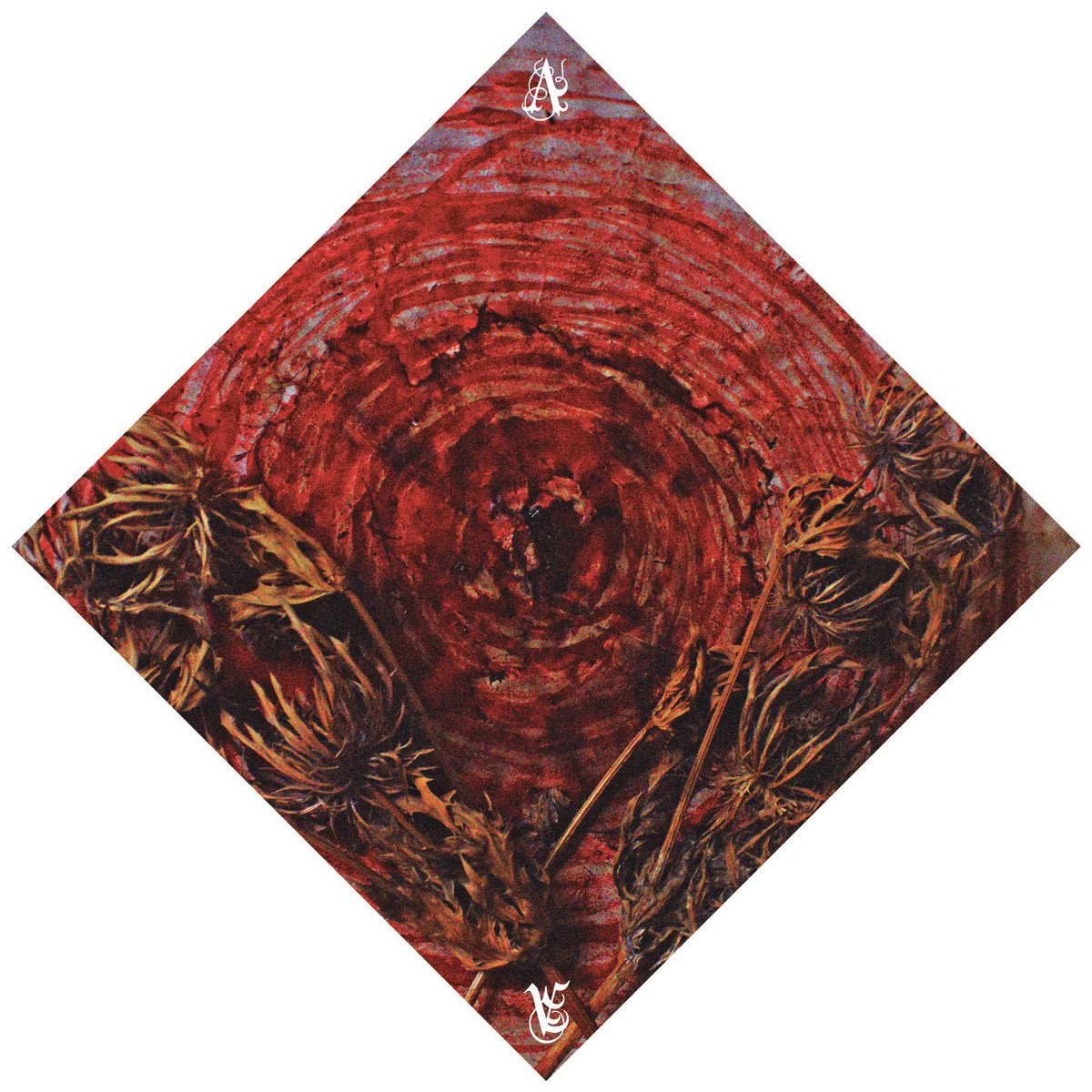 AINSOPH "Affection And Vengeance" LP