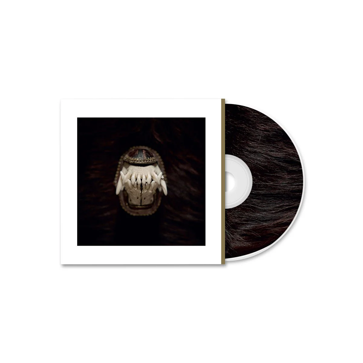 AMENRA "De Toorn" CD - Image 2