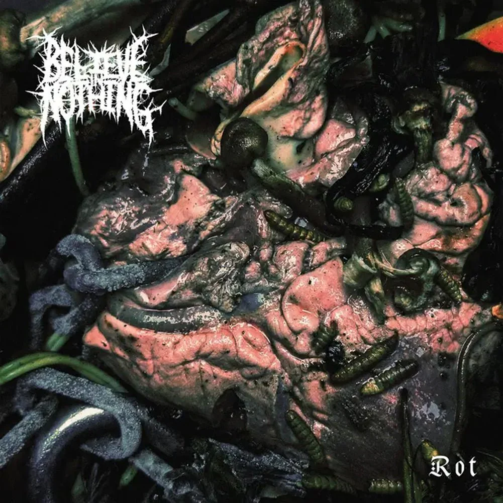 BELIEVE IN NOTHING "Rot" LP