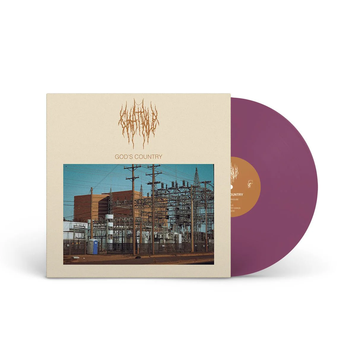 CHAT PILE "God's Country" LP - Image 7