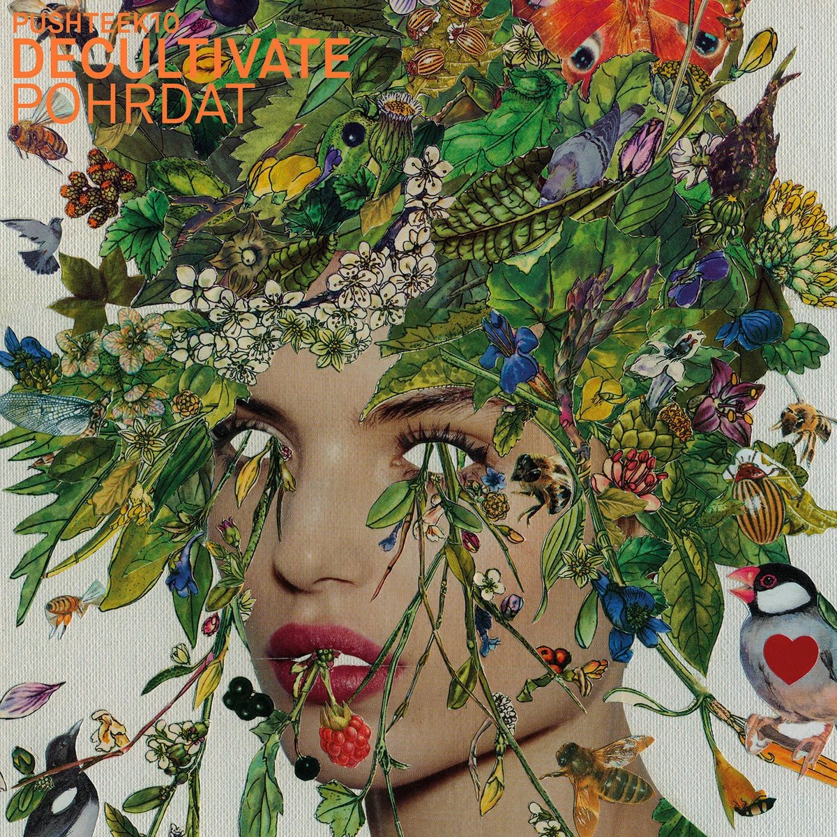 DECULTIVATE "Pohrdat" LP