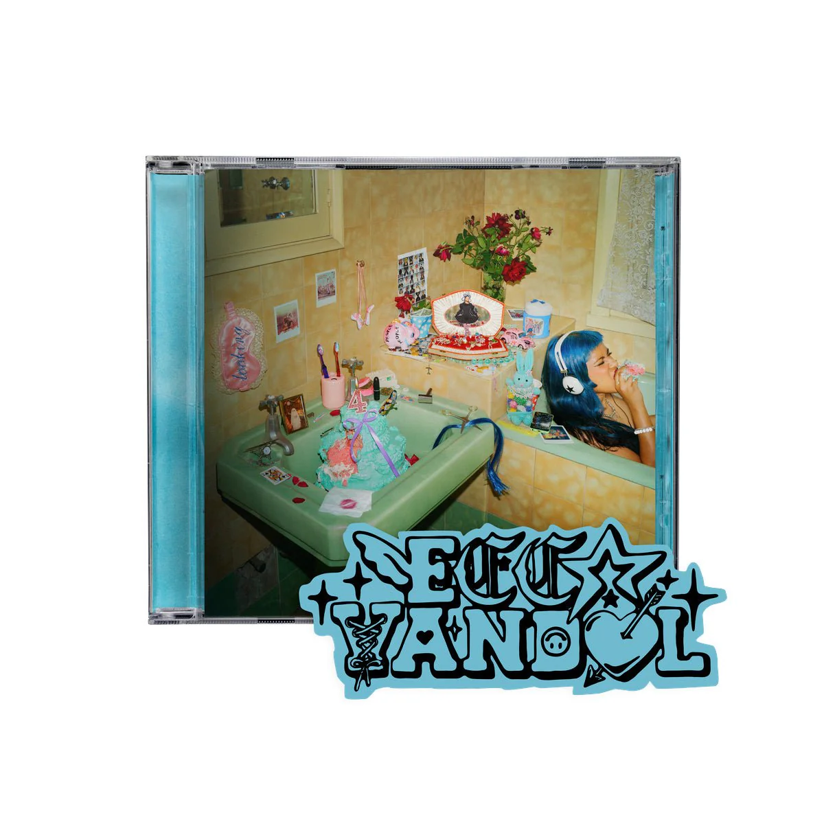 ECCA VANDAL "LOOKING FOR PEOPLE TO UNFOLLOW" CD