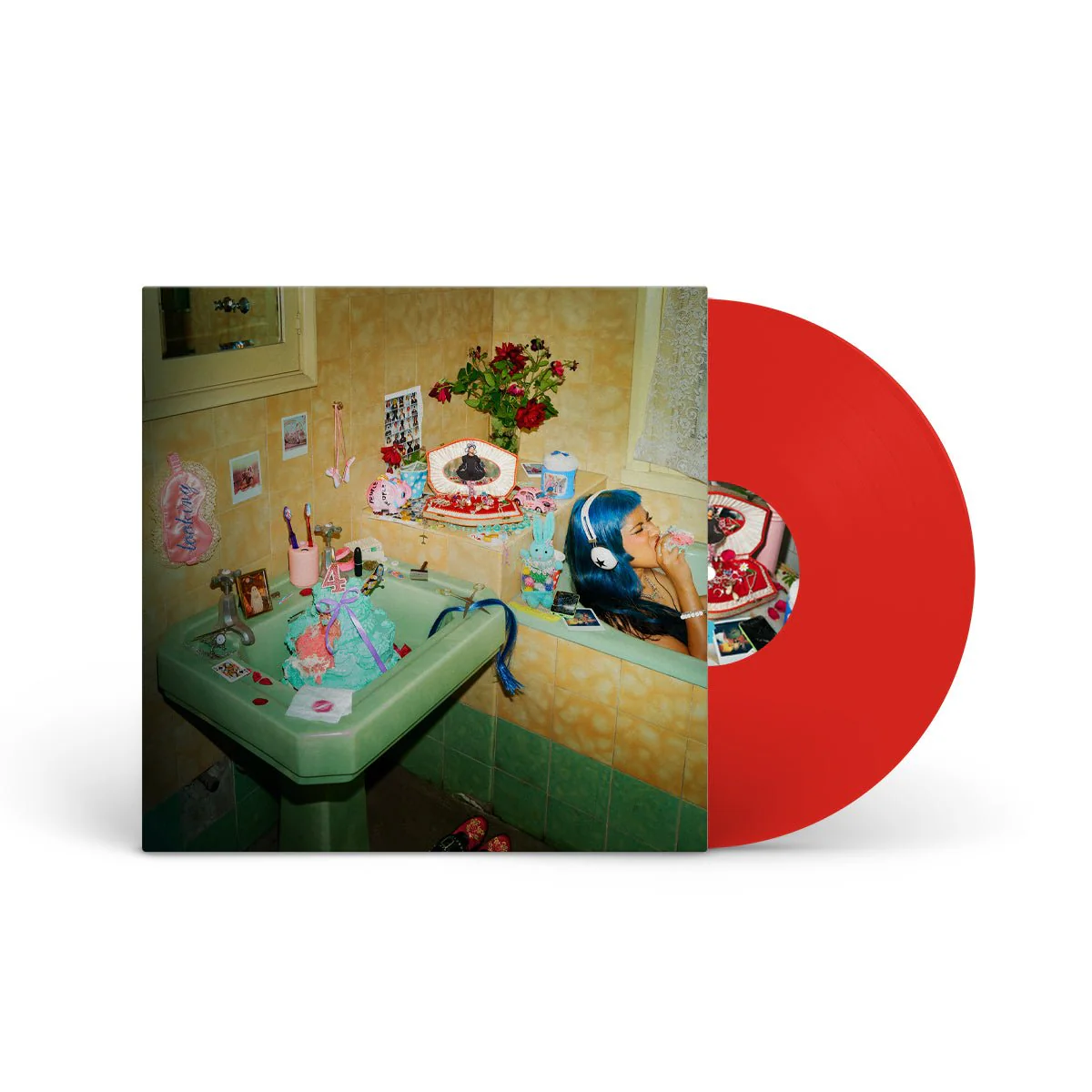 ECCA VANDAL "LOOKING FOR PEOPLE TO UNFOLLOW" LP