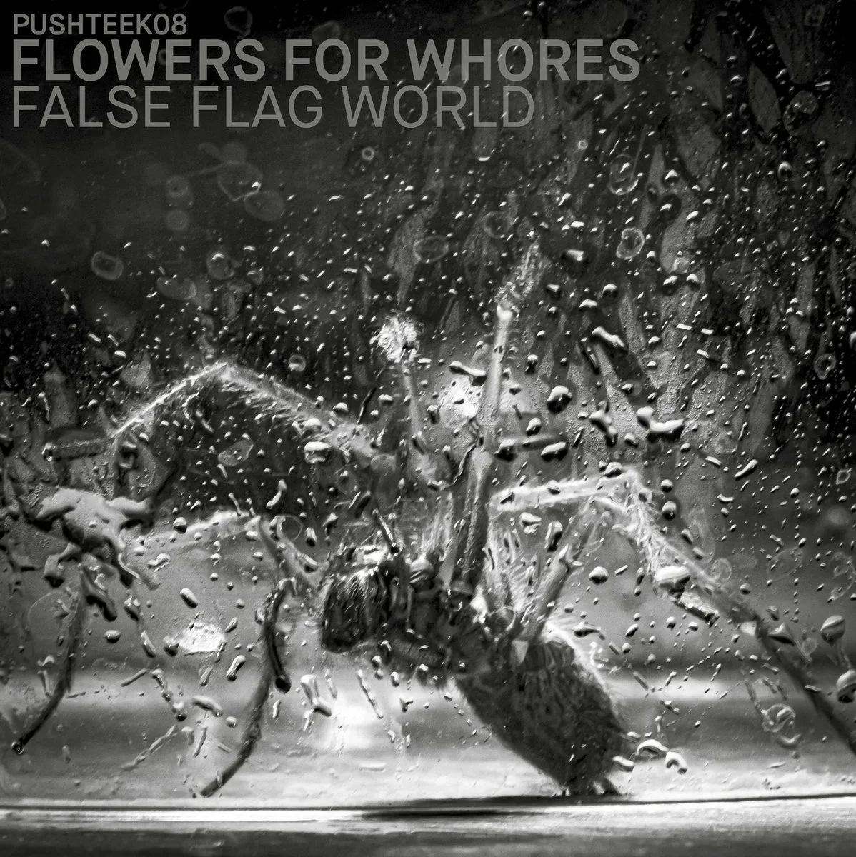 FLOWERS FOR WHORES "False Flag World" Tape