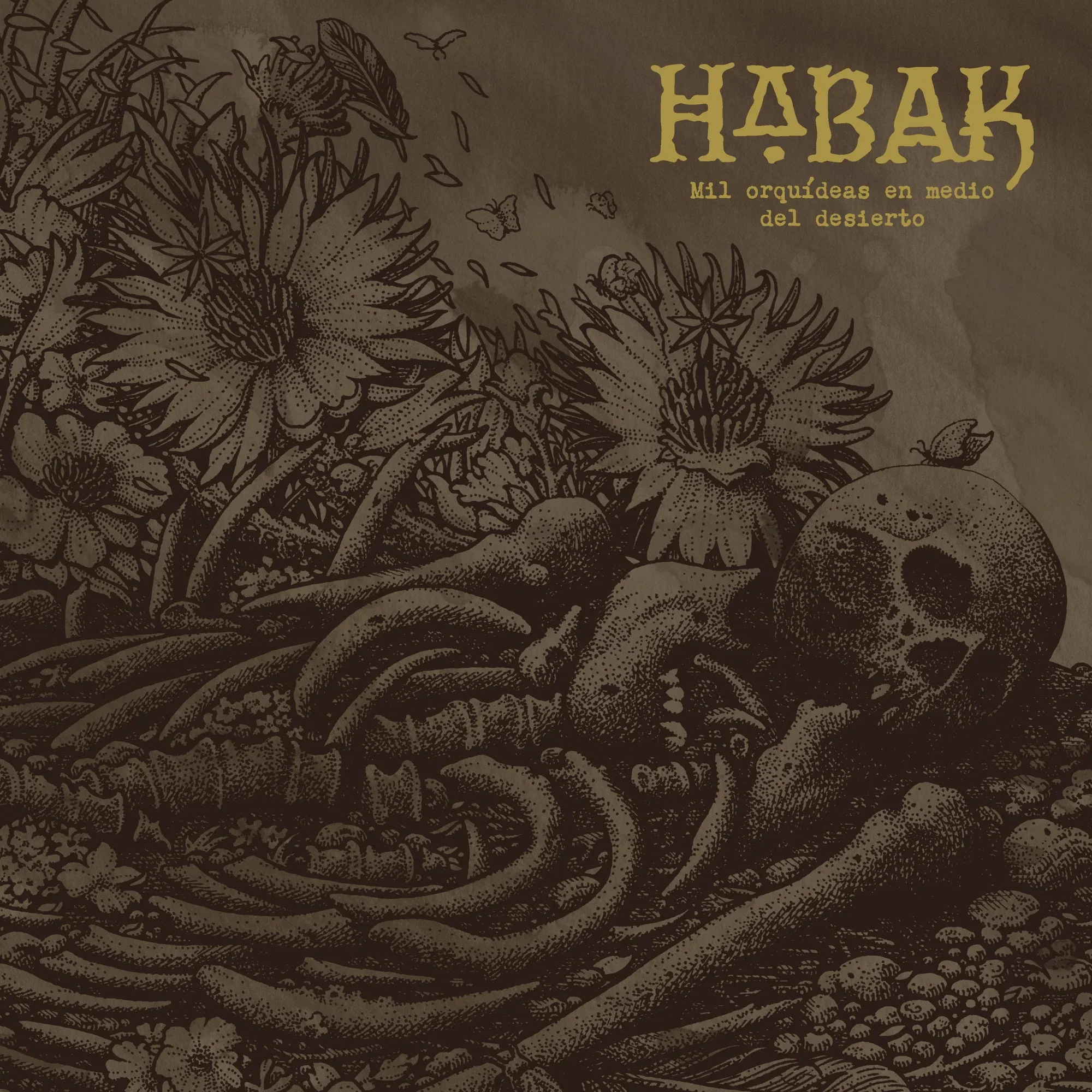 HABAK "Mil Orquideas En Medio Del Desierto" LP