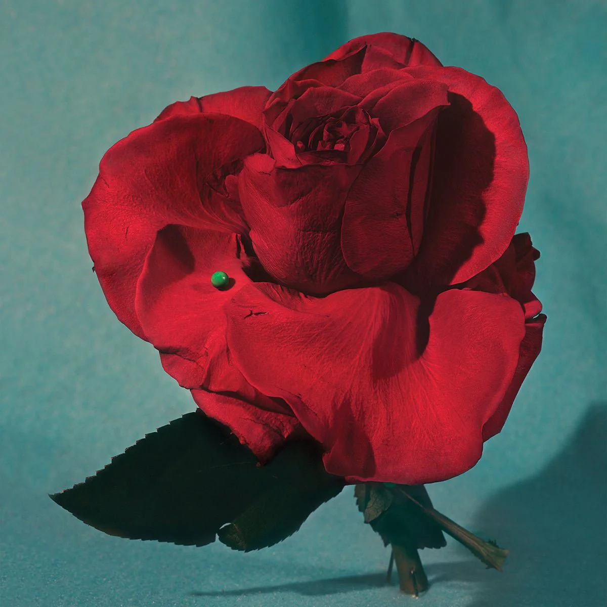 METZ "Up On Gravity Hill" LP
