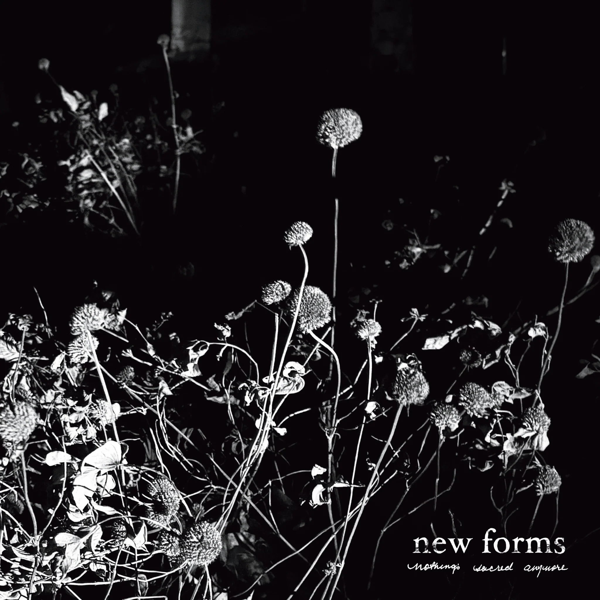 NEW FORMS "Nothing's Sacred Anymore" LP