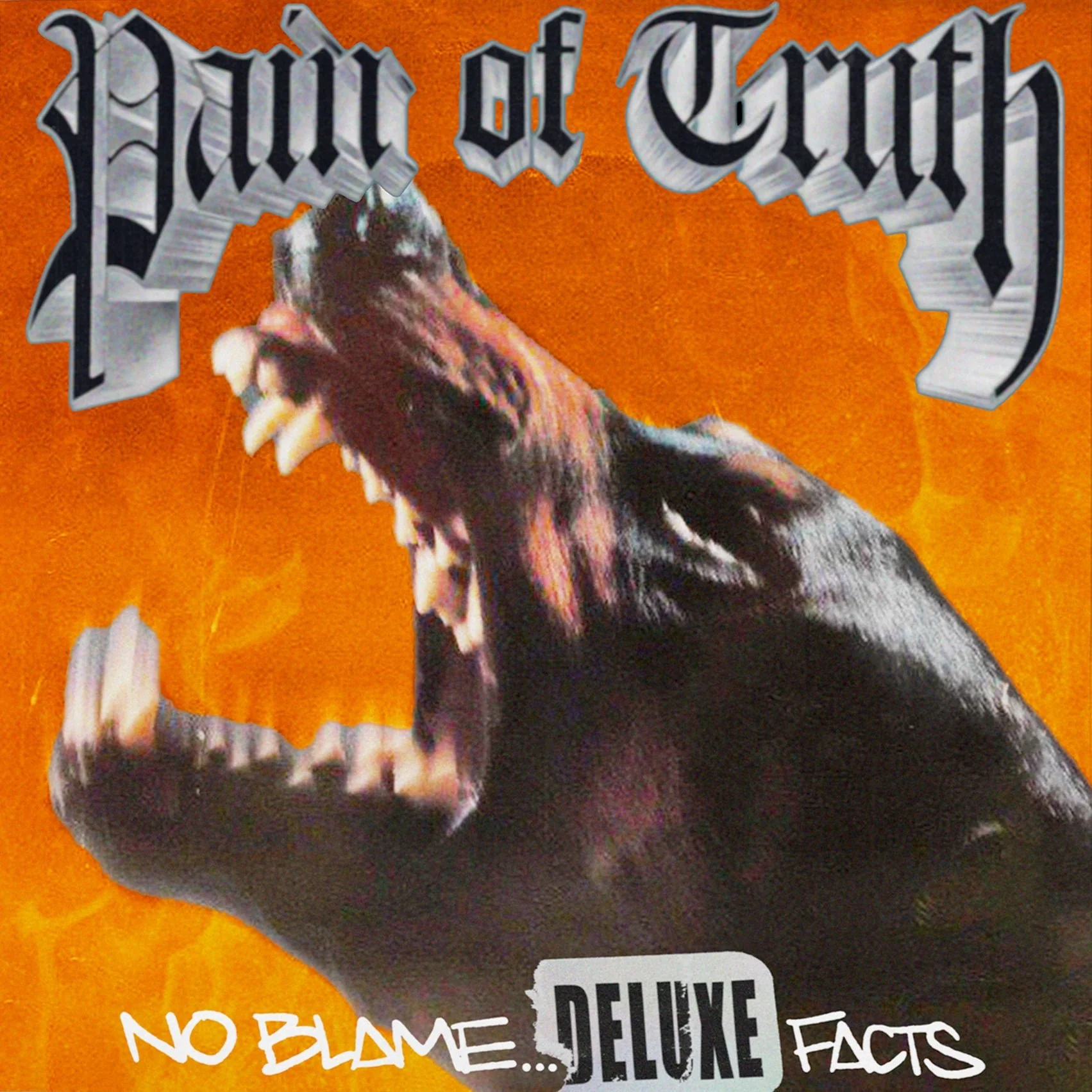 PAIN OF TRUTH "No Blame... Deluxe Facts" CD