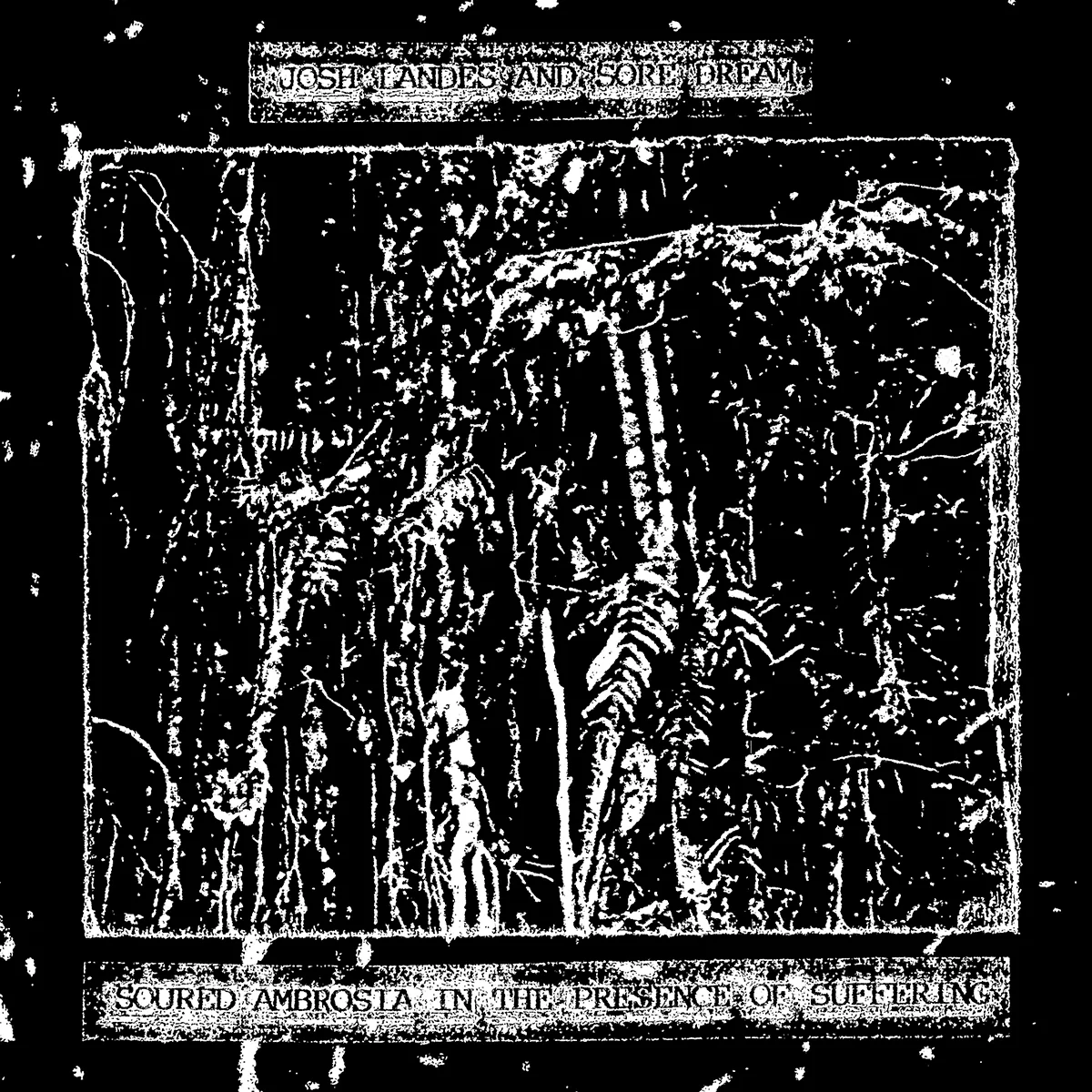 SORE DREAM/JOSH LANDES "Soured Ambrosia In The Presence Of Suffering" CD