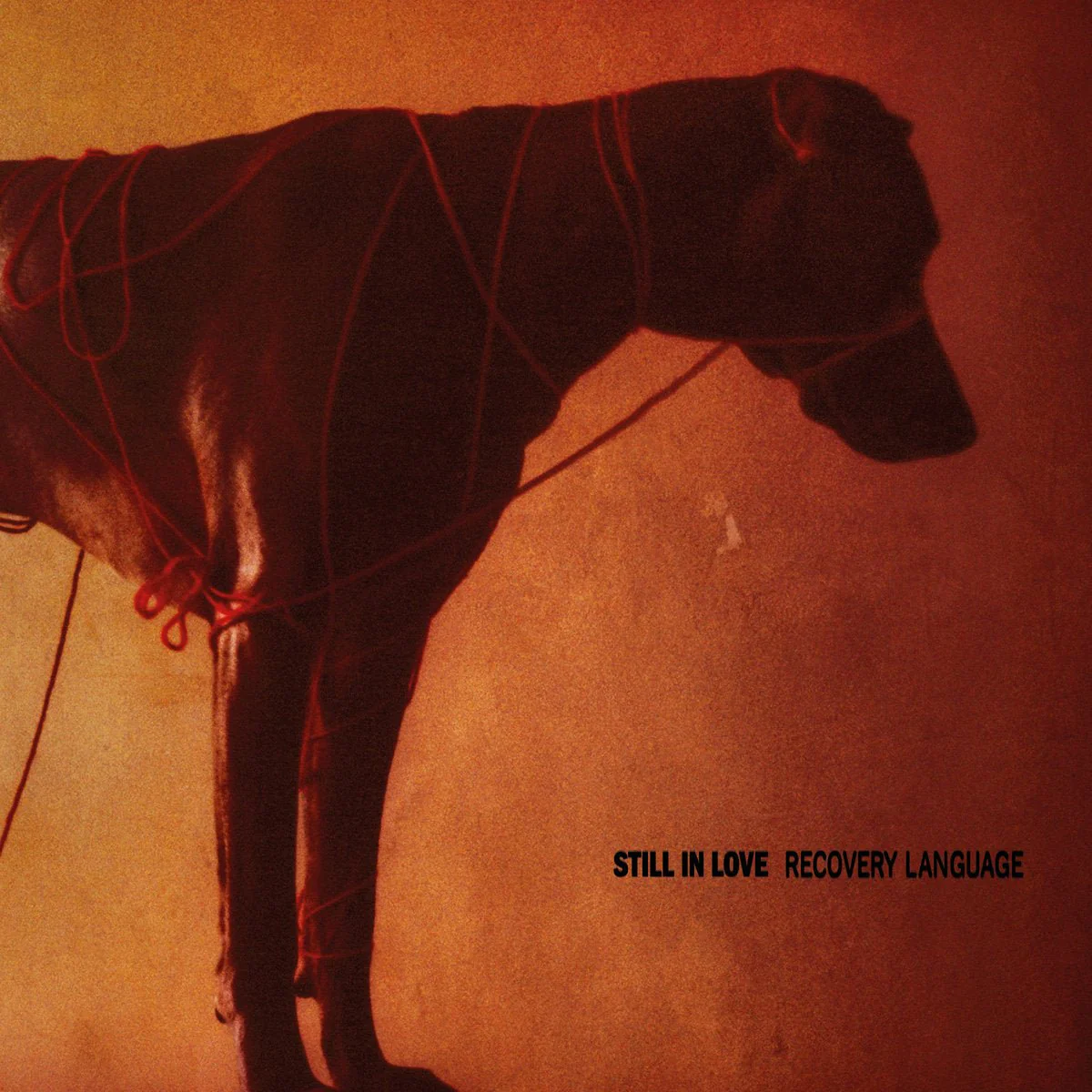 STILL IN LOVE "Recovery Language" CD
