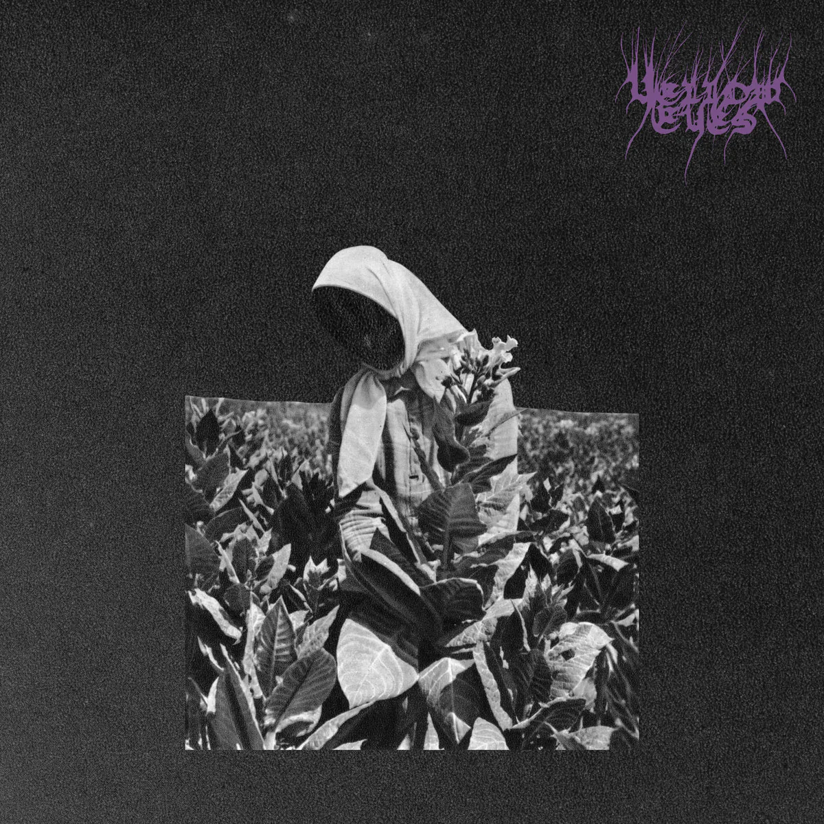 YELLOW EYES "Master's Murmur" LP
